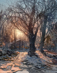 NATURE Print Pack