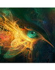 WANDERER EYES