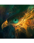 WANDERER EYES