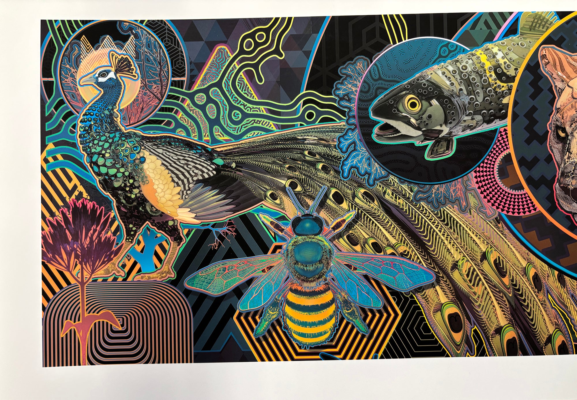 THE LYONS MURAL • Artist Second