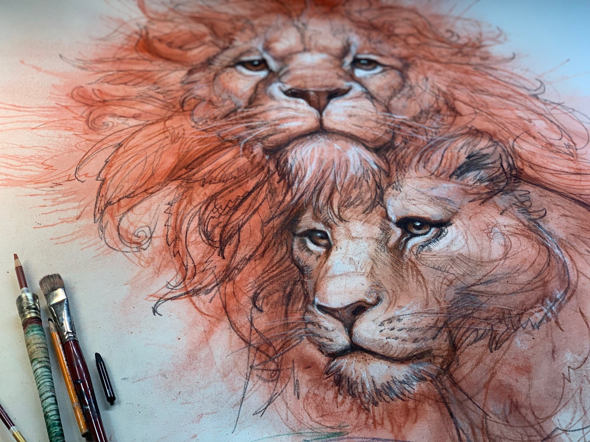 Lion_Sketch_Metazoa.jpeg