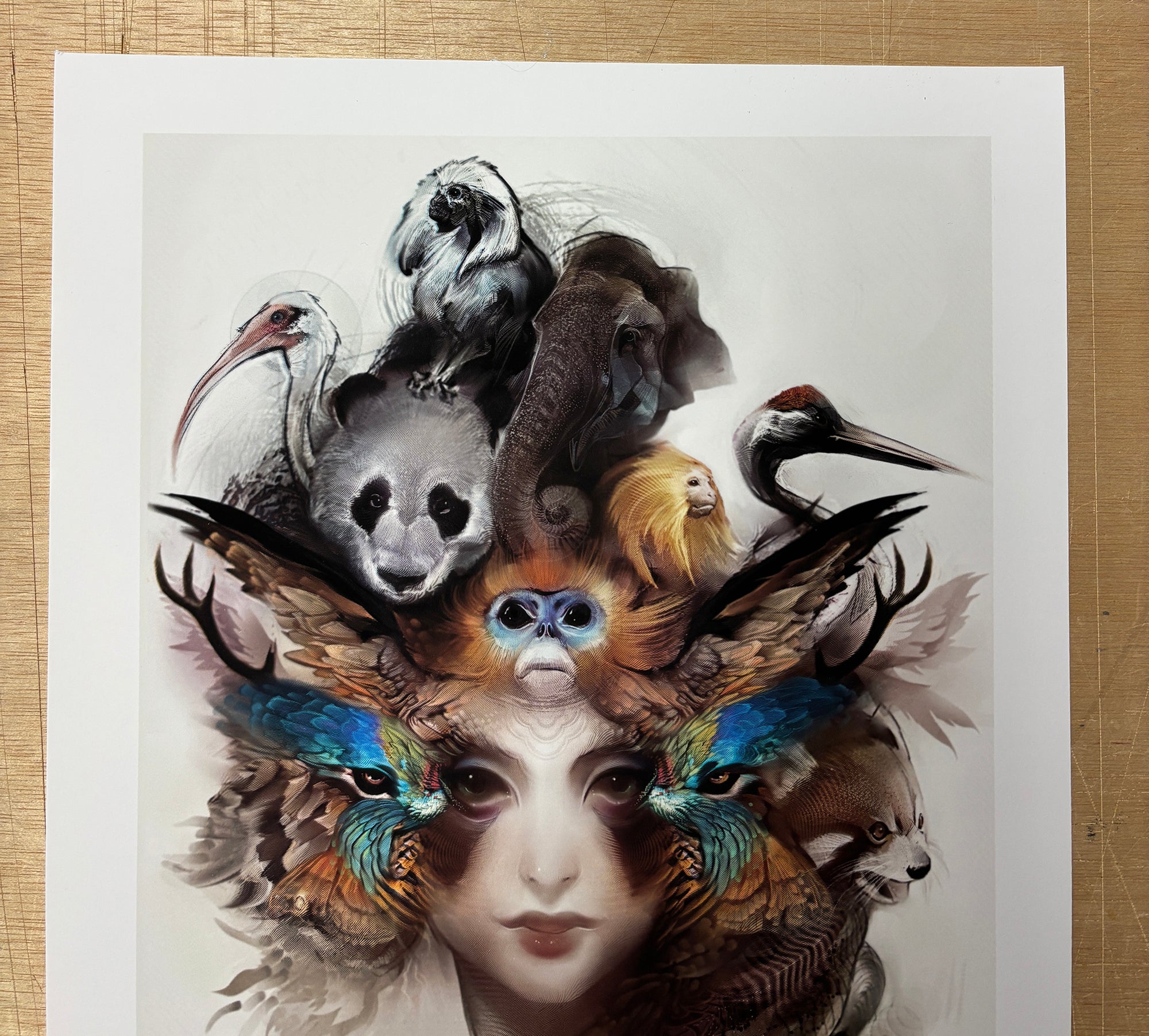 WILDLIFE • Artist Second