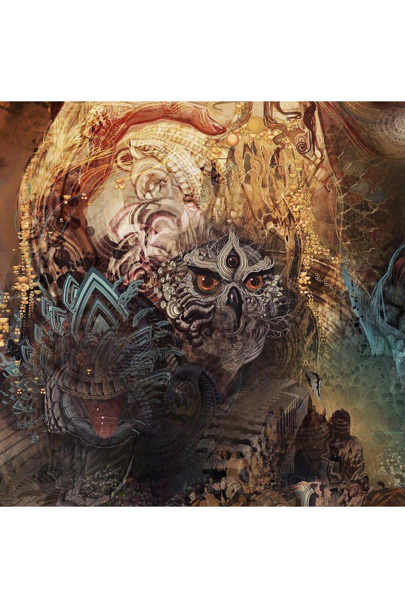 PAREIDOLIA